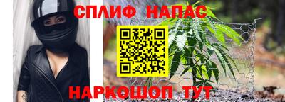 мяу мяу мука Будённовск