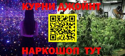 мяу мяу мука Будённовск