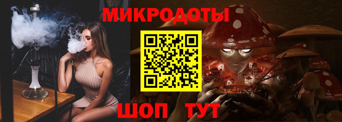 Псилоцибиновые грибы Psilocybine cubensis Красногорск
